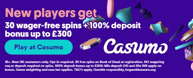 no wagering free spins bonus